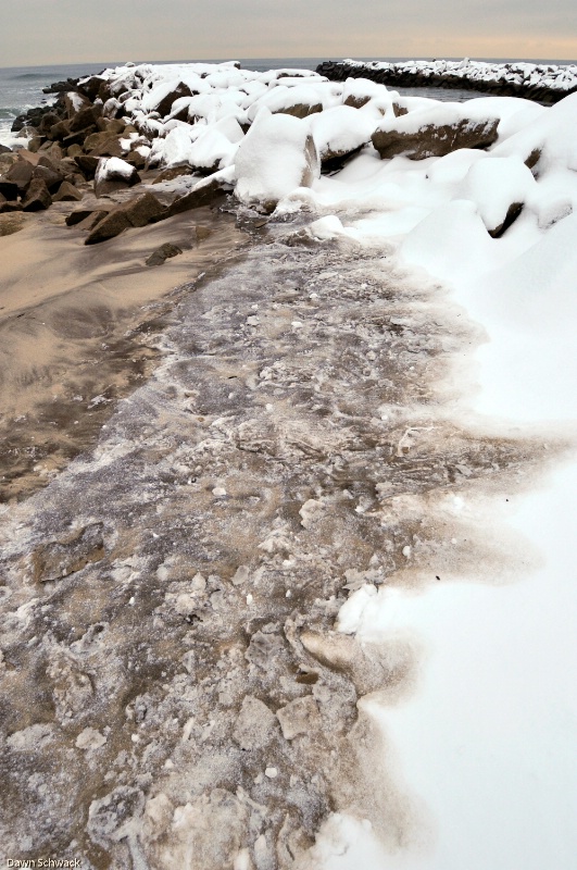 Tide Line in Snow - ID: 7782484 © Dawn Schwack