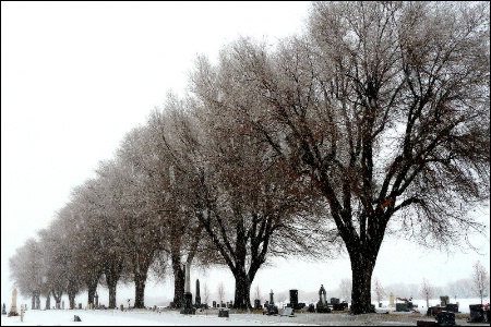 Cemetery in Snowstorm