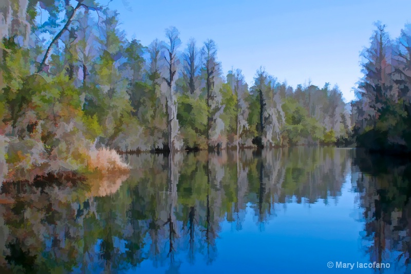 Tranquil Waters