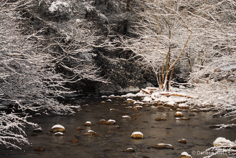 Winter on Little Pigeon River