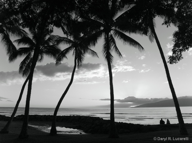 B & W Maui Sunset couple - ID: 7790879 © Daryl R. Lucarelli
