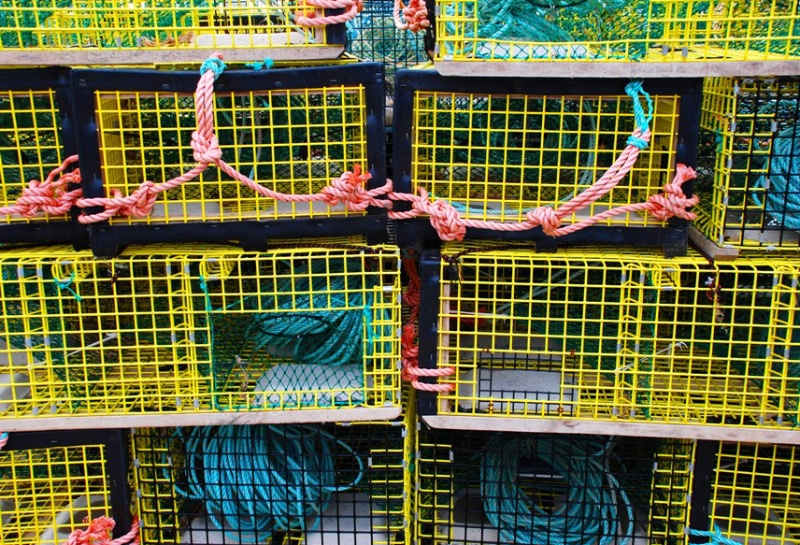 Lobster Traps