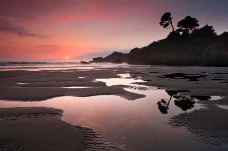 Mendocino Reflections