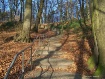 Winter Walk