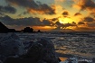Pacifica Light