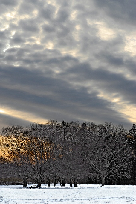 Winter evening