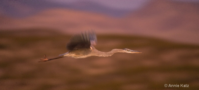 blurred crane copy - ID: 7805124 © Annie Katz