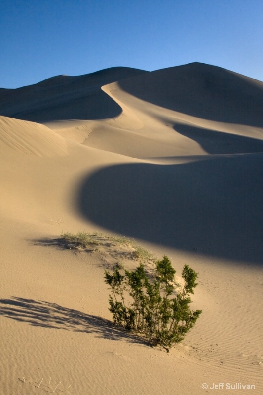 The Other Death Valley Dunes