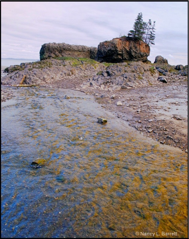 Baxter's Harbour