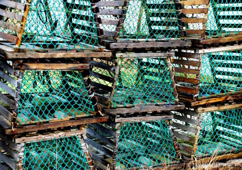 Lobster Traps