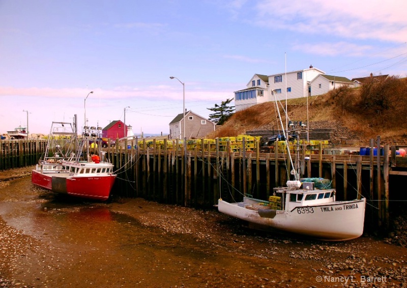 Low Tide, Hall's Harbour