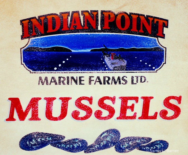 Mussels for Sale