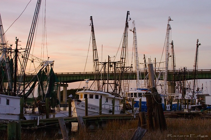 Shrimp Boats On Tybee