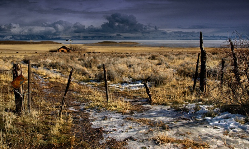 Promontory Range Homestead