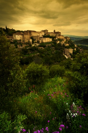 Provence Dream