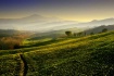 Arrivederci. 