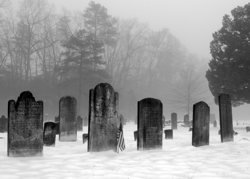 Dead of Winter - ID: 7823597 © James W. Betts