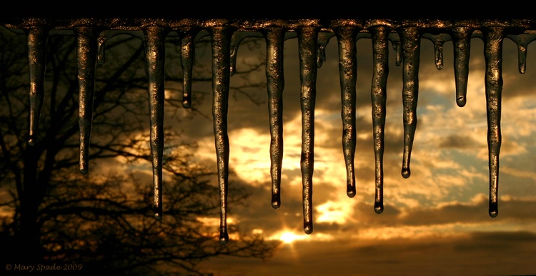 Icicles at Sunset