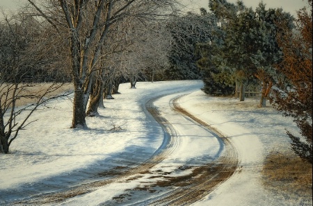 ~ COUNTRY LANE ~