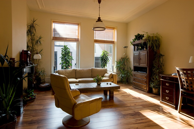 Sun splashed living room