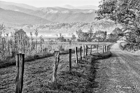 A Cade's Cove Morning