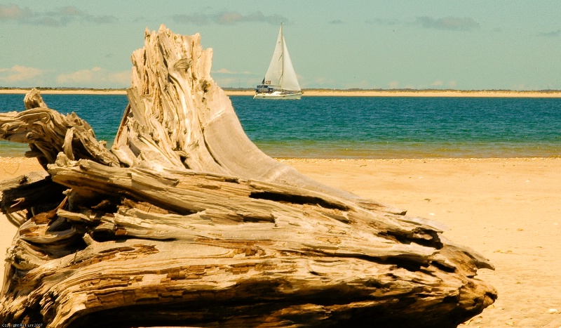 Sailboat and driftwood