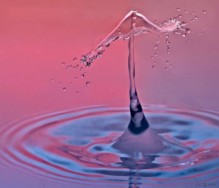 Water Umbrella