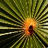 © Elliot Barnathan PhotoID# 7832376: Turks and Caicos 17