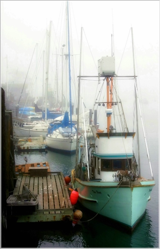 Marina in the Fog