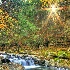 © Joseph T. Pilonero PhotoID# 7834376: Morning on the Creek