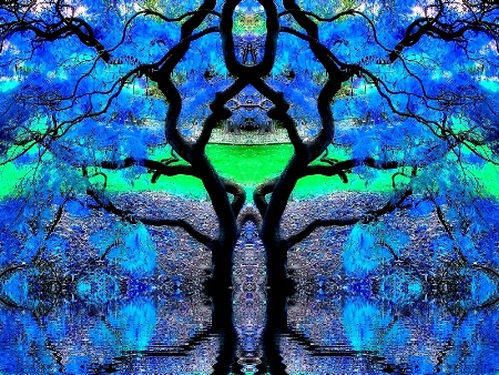 Blue Trees Abstract
