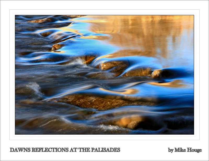 Reflections of spring