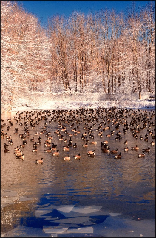 img20