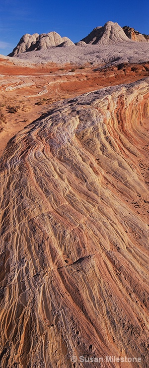 Paria Wilderness, AZ A1_9 - ID: 7840216 © Susan Milestone