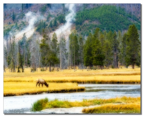 Yellowstone Cliche 