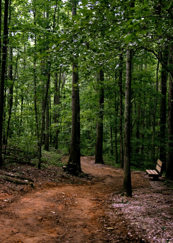 Georgia Trail