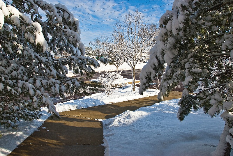 Winter Wonder Lane