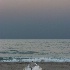 © Elliot Barnathan PhotoID# 7853273: Jersey Shore 1