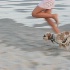 © Elliot Barnathan PhotoID# 7853286: Running