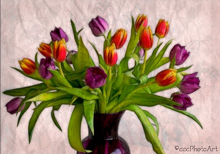 Purple & Tangerine Tulips
