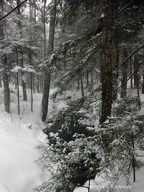 Hermit's Creek, Snowfall, Vertical