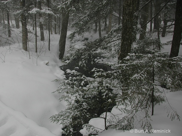 Hermit's Creek, Snowfall Horizontal