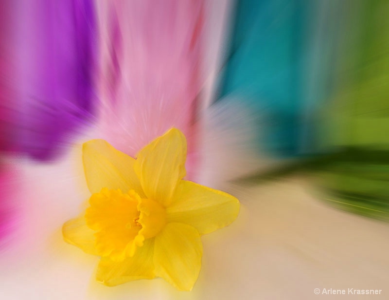 Daffodil and Lensblur Effect