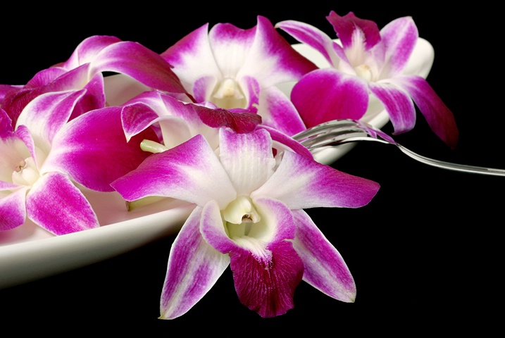 Edible Orchids