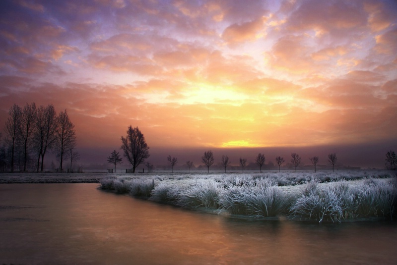 Winter Daybreak