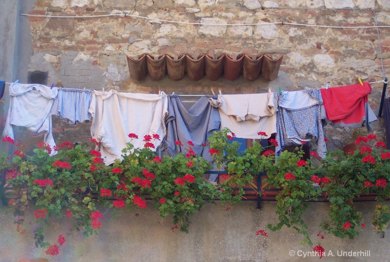 100 0227 tuscan laundry - ID: 7863207 © Cynthia Underhill