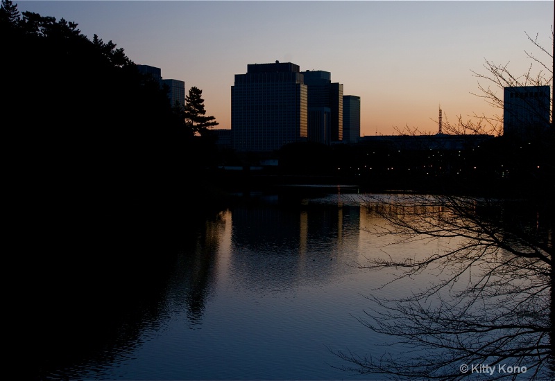 Tokyo Skyline at Dawn