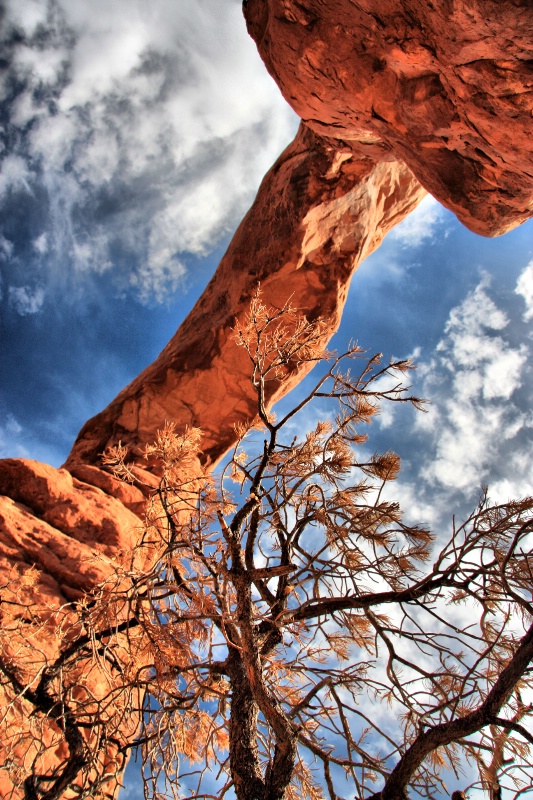 Under The Arch