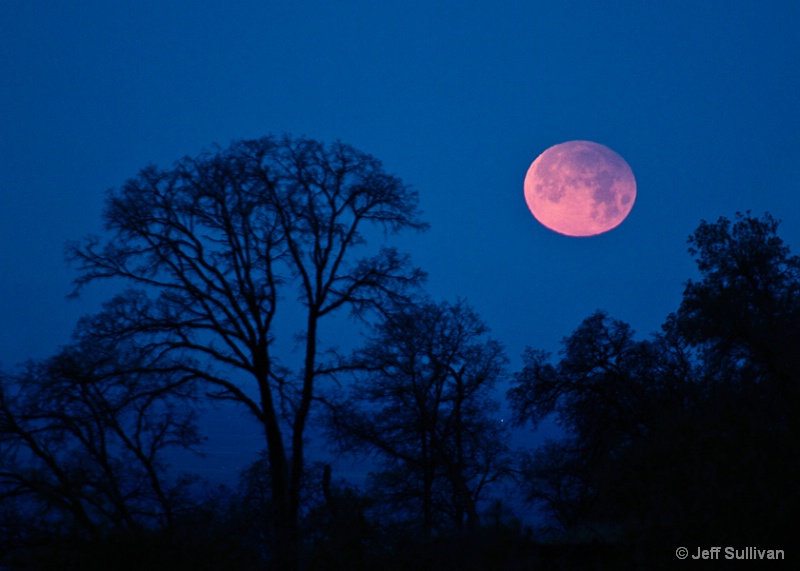 Penumbral Lunar Eclipse