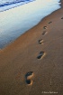 Footprints in the...